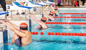 Image result for Stokesley Amateur Swimming club