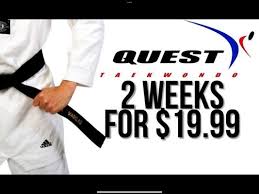 Image result for Quest Taekwondo