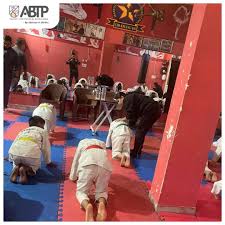 Image result for Martial Art Centre of Excellence