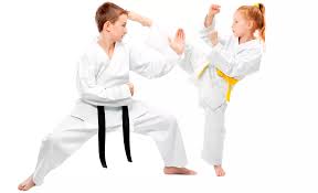 Image result for Vision Martial Arts