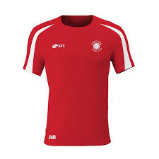 Image result for Ipswich Ladies Netball Club