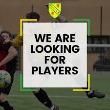 Image result for Chadderton Park Juniors F C