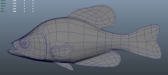 Image result for Pomoxis annularis