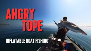 Image result for Fylde Boat Angling Club