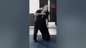 Image result for Kamon Wing Chun
