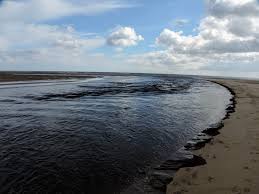 Image result for Wansbeck Gc