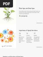 Attēlu rezultāti vaicājumam “Juncus nastanthus”