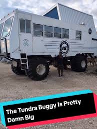 Image result for tundra buggy