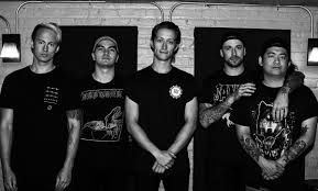 Image result for Teamsheep