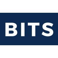 Image result for Bridge It