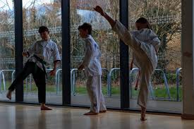 Image result for Bytomic Tae Kwon Do Beaconsfield