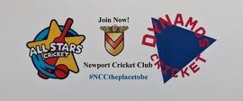 Image result for Newport (Salop) Cricket Club