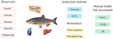 Image result for Squalius vardarensis