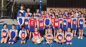 Image result for Shelley Netball Club