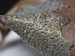 Attēlu rezultāti vaicājumam “Didymium difforme sessile”