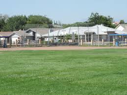 Image result for Spring View Community Sports Association