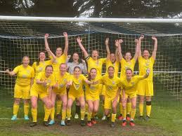Image result for Braunton Football Club