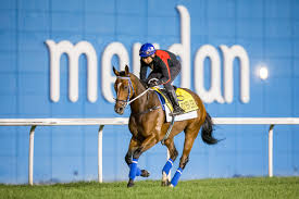 Image result for Almond Riding Club