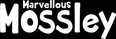 Image result for Mossley Badminton Club