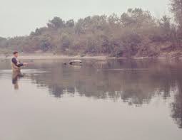 Image result for Prospect Angling Club