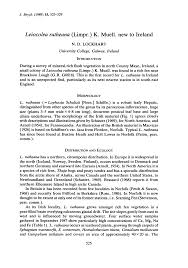 Attēlu rezultāti vaicājumam “Leiocolea rutheana”