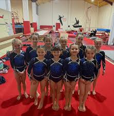Image result for Lincoln Gymnastics Club