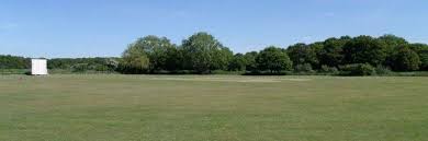 Image result for Effingham Cricket Club