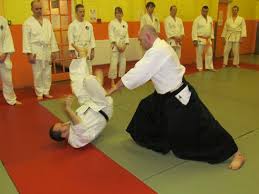 Image result for Basingstoke Aikido Club