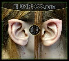 Image result for ear mod