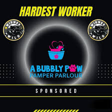 Image result for Widnes Ladies Hockey Club