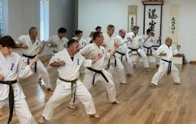 Image result for Jin Sei Kai Shotokan Karate