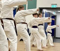 Image result for Sandokai Karate