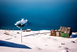 Image result for Ildblomkarse