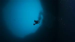 Image result for Deep Blue Diving