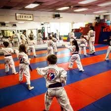 Image result for Abbey Fit Tae Kwon Do