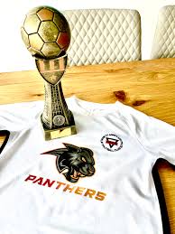 Image result for Blackpool Panthers