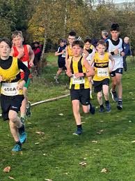 Image result for Calderglen Harriers