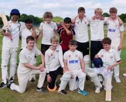 Image result for Steyning Cricket Club