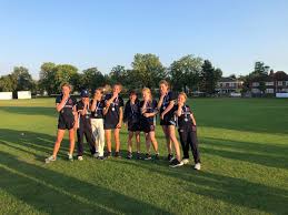 Image result for Ashtead Cricket Club