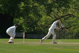 Image result for Bradfield Cricket Club