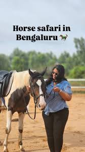 Image result for Kings Ranch Riding School/Club