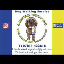 Image result for Leeds Mad Dogs