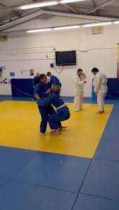 Image result for Redbridge Judo Club
