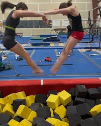 Image result for Mo-Gylity Gymnastics Club