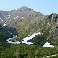 Attēlu rezultāti vaicājumam “Cladopodiella francisci”