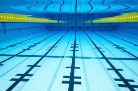 Image result for Swansea Finswimming Club