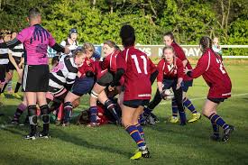 Image result for Cobham Rugby Club