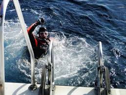 Image result for Great Western Divers