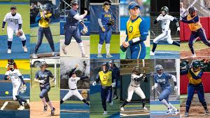 Image result for Lions Softball Club
