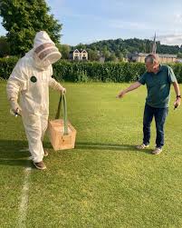 Image result for Bath Croquet Club